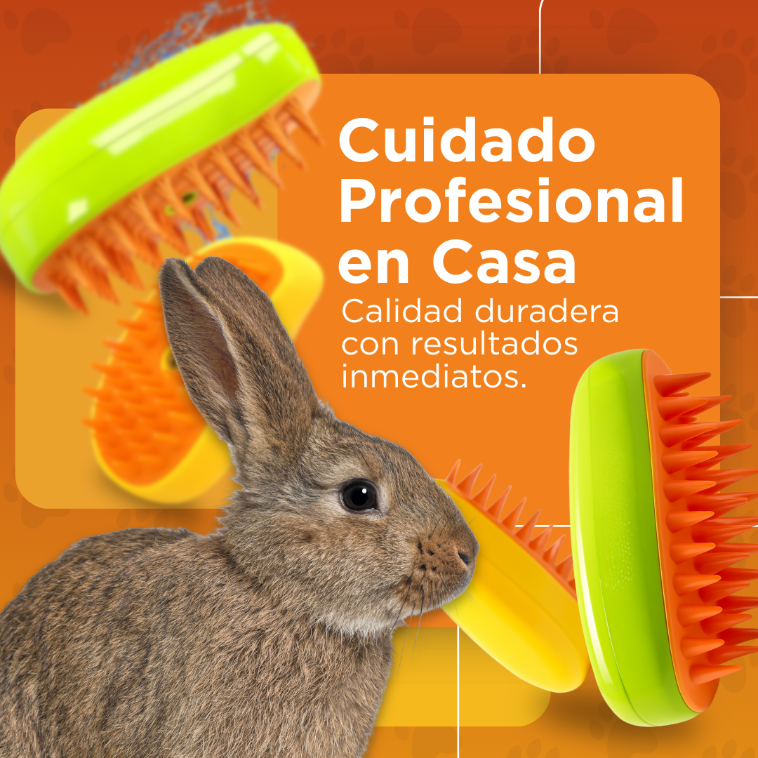 Petcare - Cepillo Ortopedico - Compra 1 y Llévate 2 GRATIS 🎁