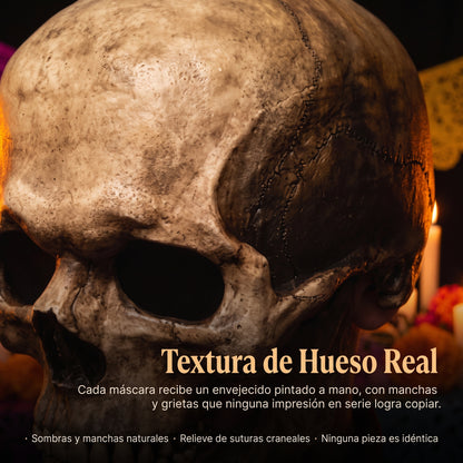 Máscara de Calavera/Casco De Cabeza Completa Con Mandíbula Móvil